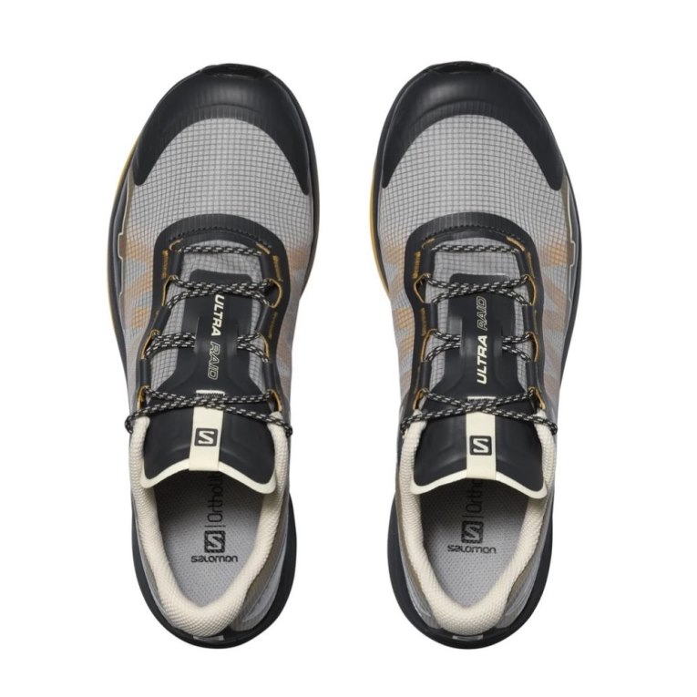 Black / Grey / Brown Salomon Ultra Raid Women's Sneakers | IE YO5924